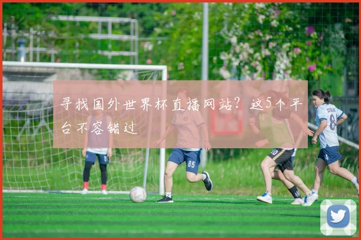 寻找国外世界杯直播网站？这5个平台不容错过
