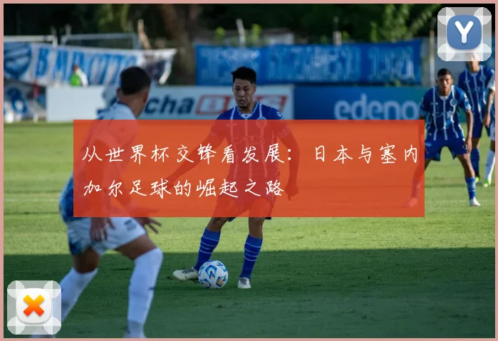 从世界杯交锋看发展：日本与塞内加尔足球的崛起之路