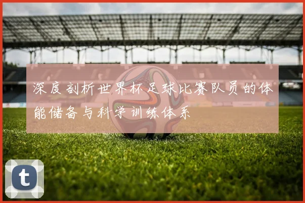 深度剖析世界杯足球比赛队员的体能储备与科学训练体系