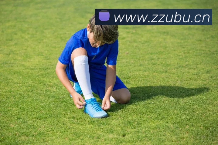 华体育汇平台生态图