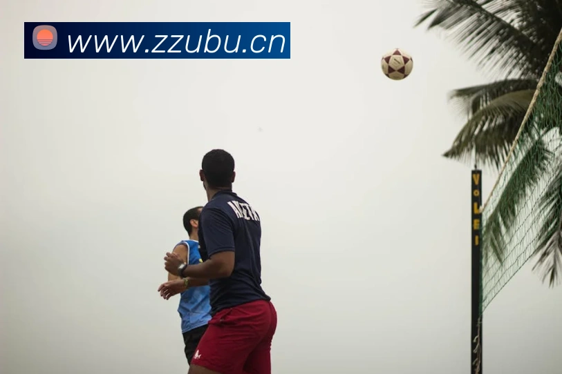 华体育汇APP 封面图